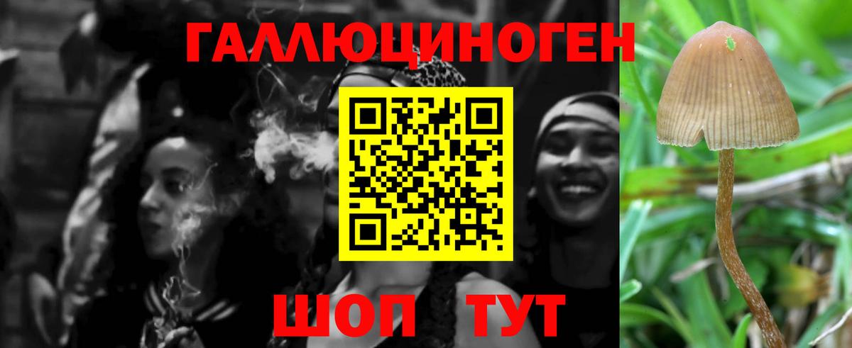 Учалы  магазин  наркотиков  Вход с VPN  Псилоцибиновые грибы Psilocybine cubensis 